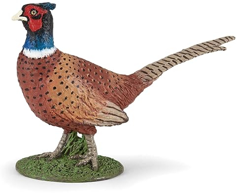 Papo - Figurine animal - Faisan, Beauté de la Vie Sauvage, Figurine Multicolore pour Enfants dès 3 Ans - Observation des Oiseaux et Sensibilisation à la Nature