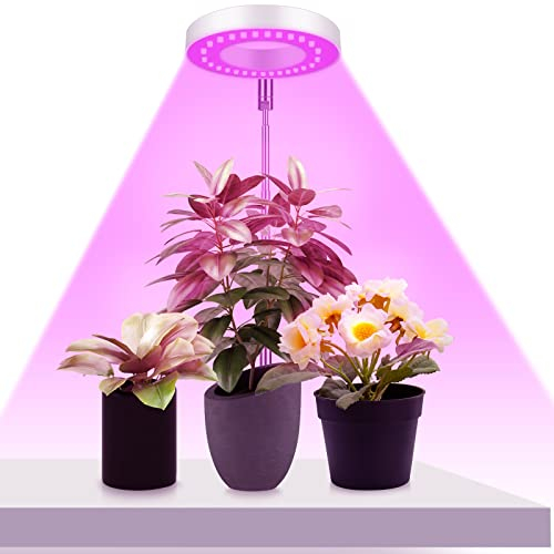 Ainiv Lampada per coltivazione delle piante, 48 LED, a spettro completo, per piante da interno, regolabile in altezza, timer di accensione/spegnimento automatico, lampada da coltivazione con 9