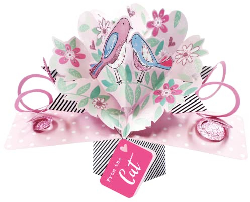 From The Cat Pretty Birds Pop Up Card Mother's Day, Birthday, Any Occasion POP009M17