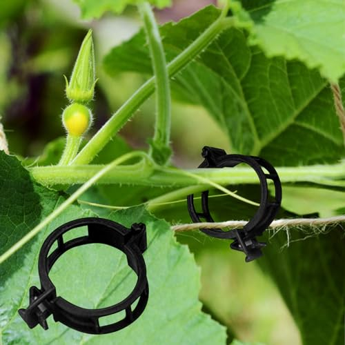 Winmany 100 Stück Pflanzenstützen, Gartenclips, Tomatenstützen, verbindet Pflanzen, Bindfäden, Ranken, Ranken, Gemüse, Befestigungs-Clip, Veredelungswerkzeuge, machen das Wachstum aufrecht und