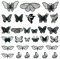 Yayatty 30 Stück Spitzenpatches, Schmetterling Stickpatches Organza Lace Appliques Nähen Sie Patches zum Reparieren und Dekorieren von Kleidung auf (Schwarz)