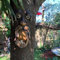 Stronrive Baumgesichter Gartendeko Vogelfutterstation Lustige Gartenstatuen Baum Gesichter Gesichtsskulptur Baumumarmung Yard Kunst Garten Dekoration Baumgesicht Mann Baum Skulptur Gartendekoration