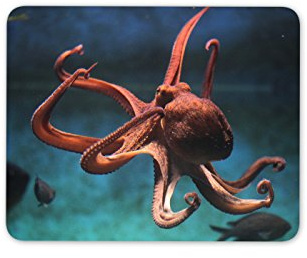 Awesome Octopus Mouse Mat Pad - Sea Life Scuba Diving Fun Gift PC Computer #8329