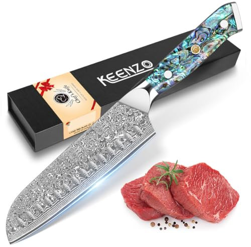 KEENZO Damastmesser Santokumesser, Kochmesser 67 Schichten Damaststahl Küchenmesser, Klingenlänge 20 cm Profi Küchenmesser Messer Chefmesser mit Blaue Kunstharz Handgriffen