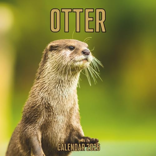 Otter Calendar 2026: 14-Month Organizer from Nov 2025 to Dec 2026 | Perfect for Home, Office, School & Family Scheduling, For Men , Women , Girls , Boys