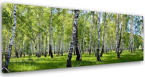 Feeby Frames, Leinwandbild, Bilder, Wand Bild, Wandbilder, Kunstdruck 50x150cm, WALD, BÄUME, GRAS, NATUR, GRÜN, WEISS