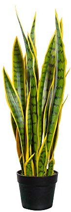 HTT Decorations - Kunstpflanze/künstlicher Bogenhanf/Sansevieria/Bogenhanf - Zimmerpflanzen - Deko - Höhe 70 cm