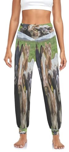 Damen Yogahose Kühe Grün Gras Frühling Yoga Pilates Hosen Haremshose Dance Hosen Harem Schwarz Weiß Tier