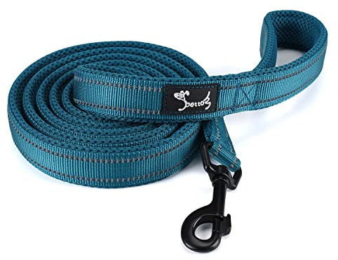 PETTOM Laisse pour Chien, Laisse Dressage Chien Grand Moyen Petit, Poignée Rembourrée, Réfléchissant(Bleu, 2m)