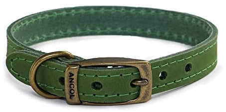 Ancol Timberwolf Premium Leather Dog Collar - Comfortable Durable Pet Training Accessory - Green Bridle Leather - Soft Supple Waterproof Treated - 20-26cm Size 1