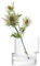 LSA International TD07 Laterne/Vase, Höhe: 13,5 cm, transparent, 1 Stück, handgefertigtes Glas