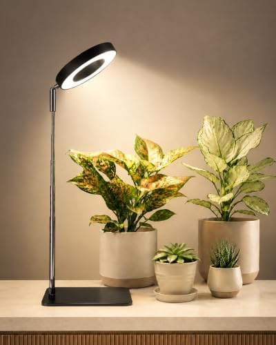 Bamworld Plant Grow Light with Base, Full Spectrum LED Ring Lamp, Adjustable Height, 8W Desk Light for Indoor Plants