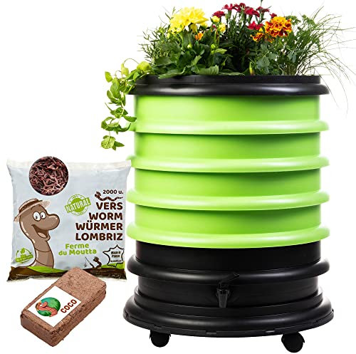 WORMbox | Wurmkomposter Wurmfarm Wurmkiste mit 4 Schalen Grün + Pflanzgefäß + 1kg Kompostwürmer / 2000 STK + 1 Coco | 64 Liter | Regenwurmkomposter, Kompostwürmer produzieren Wurmhumus