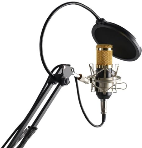 AKOOSY Grabación De Radio Micrófono Condensador Soporte para Teléfono Alta Precisión