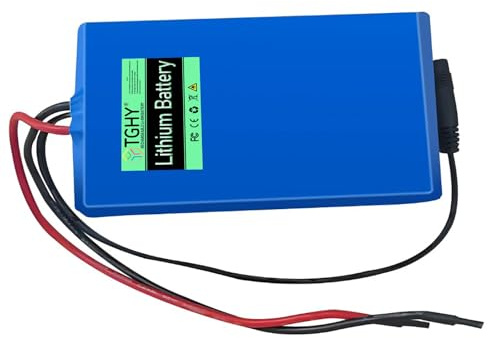 TGHY Batterie pour Trottinette électrique 24V 4Ah 6Ah 8Ah 10Ah 12Ah, Batterie Lithium-ION Rechargeable pour Moteurs de Skateboards, vélos électriques et hoverboards de 50 à 300W,24v12ah,T Plug