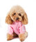 Hundepulli für Kleine Hunde, Hunde Hoodie Pet Puppy Katze Niedlicher Baumwoll Warm Hoodies Coat Pullover rosa
