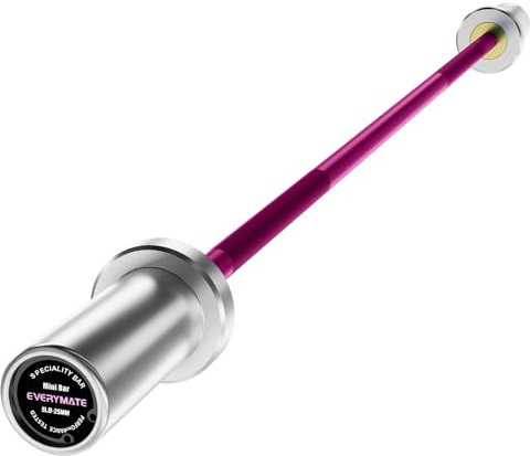 EVERYMATE 2,3 kg Mini-Langhantelstange für Anfänger, Damen, Kinder, Ganzkörpertraining, Gewichtete Stange für Krafttraining, für Jugendliche, Kinder, neues Gewichtheben, silberne Ärmel, violette
