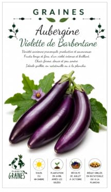 550 Graines d'Aubergine Violette de Barbentane - Variété Précoce et Rustique - Fruits Longs et Productifs