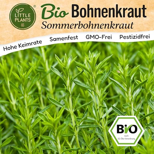 Little Plants BIO Bohnenkraut Samen 200 Bohnenkrautsamen Sommer Kräutersamen Samenfest für Kräutergarten Kräuter Samen Küchenkräuter für Küche, Balkon und Garten