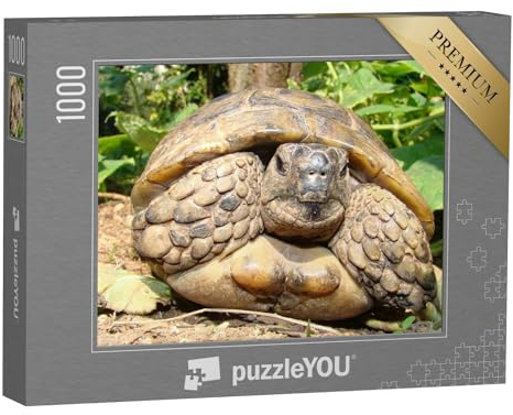 puzzleYOU: Puzzle 1000 Teile „Detaillierte Nahaufnahme Einer Schildkröte“ – aus der Puzzle-Kollektion Meeresschildkröten, Fische & Wassertiere