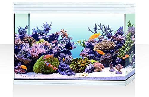 Askoll AA350077 Pure XL HC Marine White