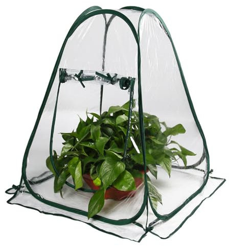 NAVESO Gewächshaus Klein, Überwinterungszelt für Pflanzen, Winterschutzzelt für Pflanzen Frostschutz, Pflanzenschutz Winter Zelt mit Aufrollbaren, Mini Pop Up Gewächshaus (70 x 70 x 80 cm)