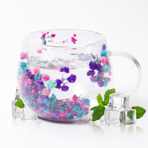 AWSOLAR Dried Flower Cup with Handle, 8.8oz Double Walled Glass Mug for Hot Drinks, Real Flower Mug Birthday Gifts for Mum Girlfriend Teacher