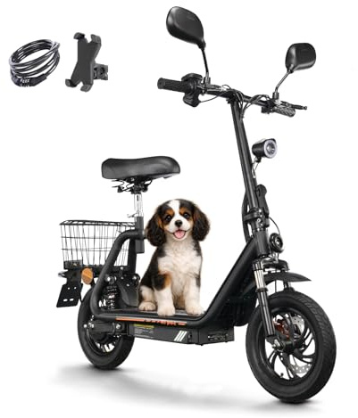 TWOFISH E Moped mit Straßenzulassung, Elektro Motorrad für Erwachsene mit 500W Motor 48V 13Ah Akku, EEC Zertifiziert, Max. 45 km/h, 12 Zoll Reifen, IPX4, M5pro
