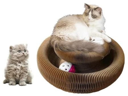 Enkman Magic Organ Cat Scratching Board Foldable Cat Grinding Scratch Board Comes with Toy Kring Ball Durable Recyclable Interactive Cat Toy