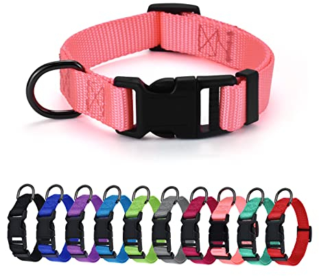 AUDWUD Dickes Nylonhalsband,klassisches verstellbares Hundehalsband in Mehreren Farben,geeignet für kleine,mittlere und große Hunde,4 Größen