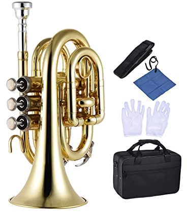 KLKL Standard Trompete Professionelle Tasche Trompete Bb Ton Messing Windinstrument Mit Mundstückhandschuhen Tuch Pinsel Fett Hartfall