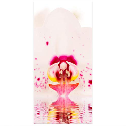 Bilderwelten Raumteiler Gepunktete Orchidee auf Wasser 250x120cm ohne Halterung