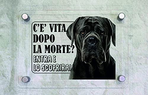 CARTELLO IN PLEXIGLASS SEGNALETICO - CANE CORSO c'è vita dopo la morte, entra e lo scoprirai - Con Distanziali in acciaio inox e Stampa U.V. (15x21)