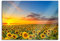 Pixxprint Glasbild, Wandbild aus Echtglas, Sonnenuntergang Sonnenblumen, 100x70 cm, inkl. Aufhängung und Abstandshalter