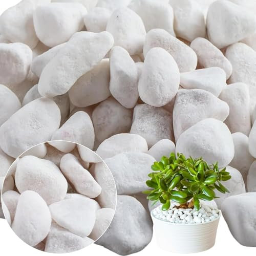 flonatur Piedras Blancas Canto Rodado Blanco para Jardin | Grava tamaño Grandes| Adorno para tu Jardin | Marmolina Decorativa Espacio Exterior | Diferentes Tamaños (Saco 40/60 Pack 2 25kg)