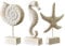 Fittoway 3 Stück Statue Seepferdchen Muschel Seestern Maritim Deko Moderne Maritim Skulptur Dekor Handmade für Wohnzimmer Küche Dekorieren