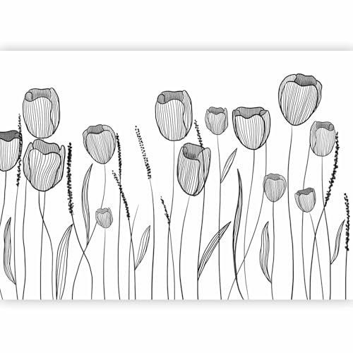 murando PREMIUM Papier peint Fleurs 100x70 cm Décoration Murale XXL Poster Tableaux Muraux Tapisserie Photo Végétaux Nature Boho Prairie noir blanche b-A-10288-a-c