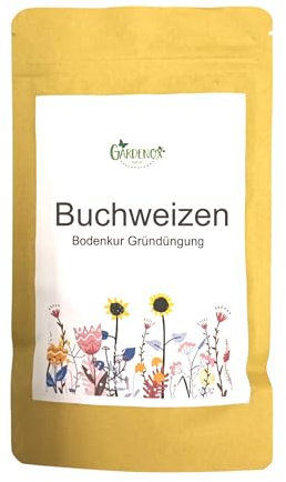 Buchweizen 400 Gramm Samen - Bodenkur und Gründüngung