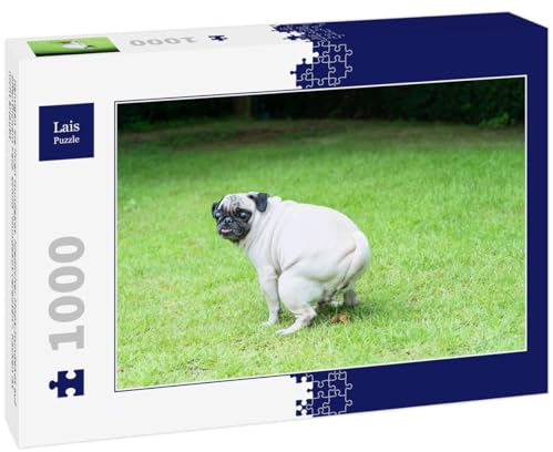 Lais Puzzle Reinigen Sie Ihren Hundekot. Niedlicher Mops-Hundekot auf öffentlichem Feld. Schild Hundekot verboten. Kacken ist Nicht erlaubt 1000 Teile