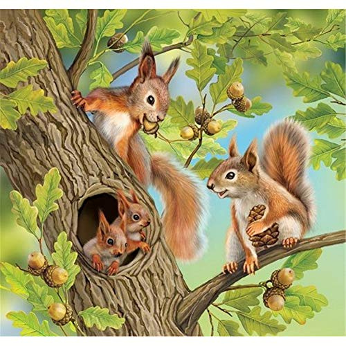 Yunden 5D Diamond Painting Full Set, Diamant Painting Kinder Eichhörnchen DIY Malen Nach Zahlen Erwachsene, Diamant Malerei für Haus, Wand und Eingang Dekorationen 30X30cm