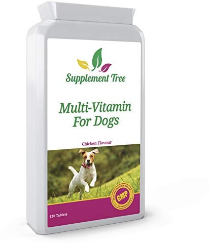 Daily Multivitamins for Dogs 120 Chewable Chicken Flavour Tablets | 24 Essential Vitamins & Minerals | Support Healthy Heart Brain Hips Joints Bones Teeth Skin & Coat | For Young or Senior Pets