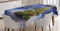 ABAKUHAUS Weihnachten Tischdecke, Elf Noel Theme winterliche, Personalisierter Druck mit Klaren Farben Waschbar Wasserfest kein Verblassen, 140 x 240 cm, Blau Grün