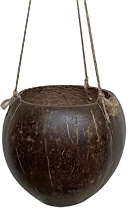 mildily Cesta para plantas de Hangings, maceta de colgantes naturales, cáscara de coco natural ecológica, macetero de colgantes cuidadosamente procesado, para helechos Pothos hiedra suculenta