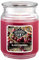 Candle-Brothers Große Duftkerze im Glas mit Deckel | Black Cherries | Duftkerze Kirsche | Kerze 2 Docht | Kerze lange Brenndauer | Geschenk für Frauen