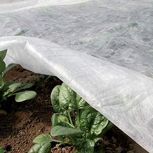 TENAX Ortoclima Plus 1,60x5 m Bianco, Velo Protettivo Antigelo Invernale per Piante, in TNT Tessuto Non Tessuto 30 g/m², Protegge Piante, Fiori e Ortaggi da Freddo, Gelo e Vento