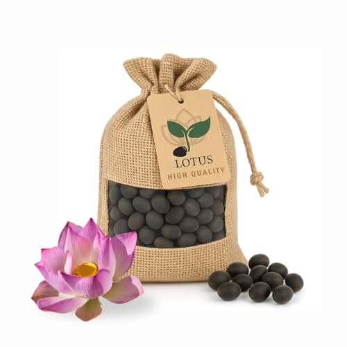 30 Premium Lotus Samen – Nelumbo Nucifera | Winterhart & Hochwertig | Für Indoor & Outdoor Teiche, Schalen & Garten – Einfache Anzucht, Exotische Lotusblumen
