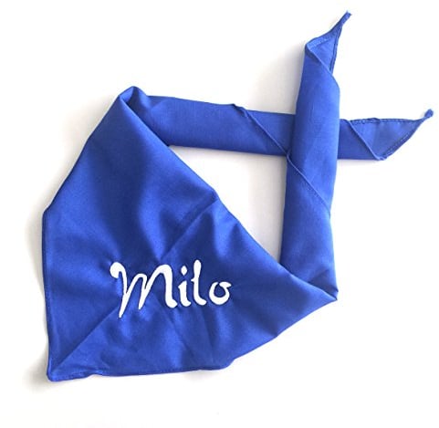 Schnoschi Hundehalstuch Halstuch für Hunde mit Wunschnamen Bestickt in der Farbe Blau