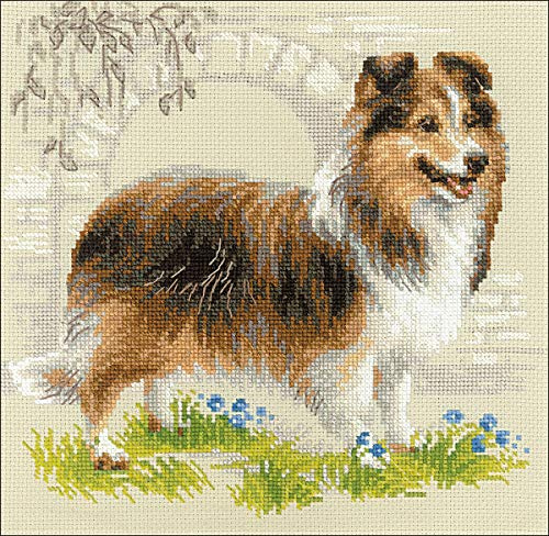Riolis Counted Cross Stitch Kit 9.75X9.75-Sheltie Dog (14 Count)