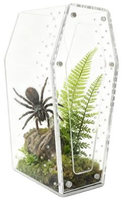 Vogelspinnen Terrarium - Durchsichtiges Acryl Reptilienhabitat | Hornfrosch Käfig - für Halter Naturliebhaber Pädagogen Hobbyisten Studenten Sammler Zuhause Klassenzimmer Schulprojekt