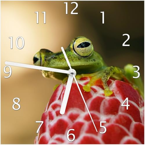 Wallario Design-Wanduhr Frosch sitzt auf Einer Knospe aus Glas, Motiv-Uhr Größe 20 x 20 cm, weiße Zeiger
